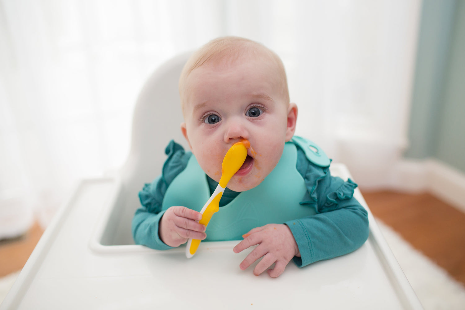 Uvajanje goste hrane