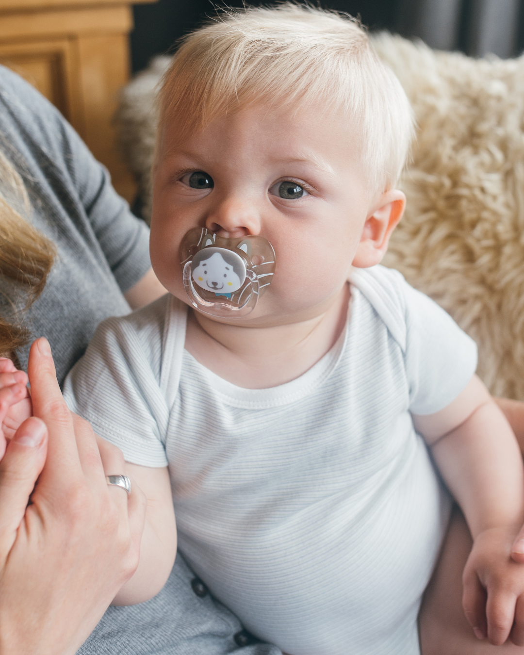 Duda PreVent 6-18 mesecev